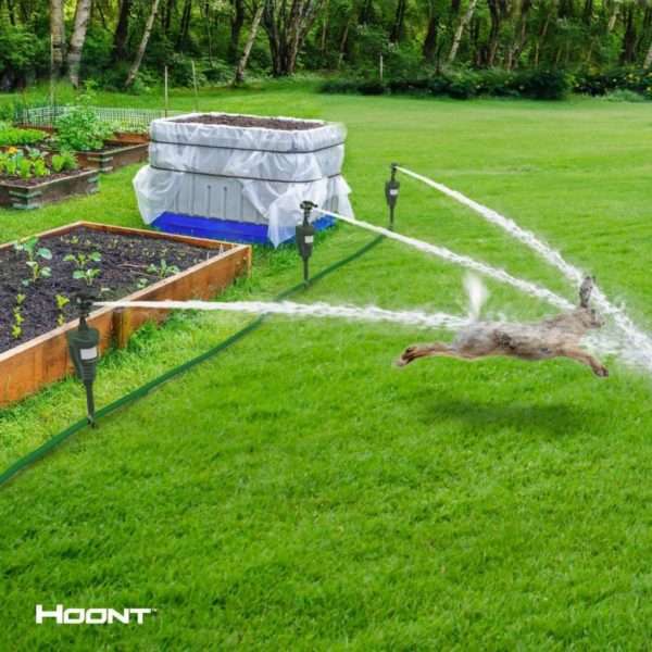 Electric Fence For Groundhogs Groundhog Repellent