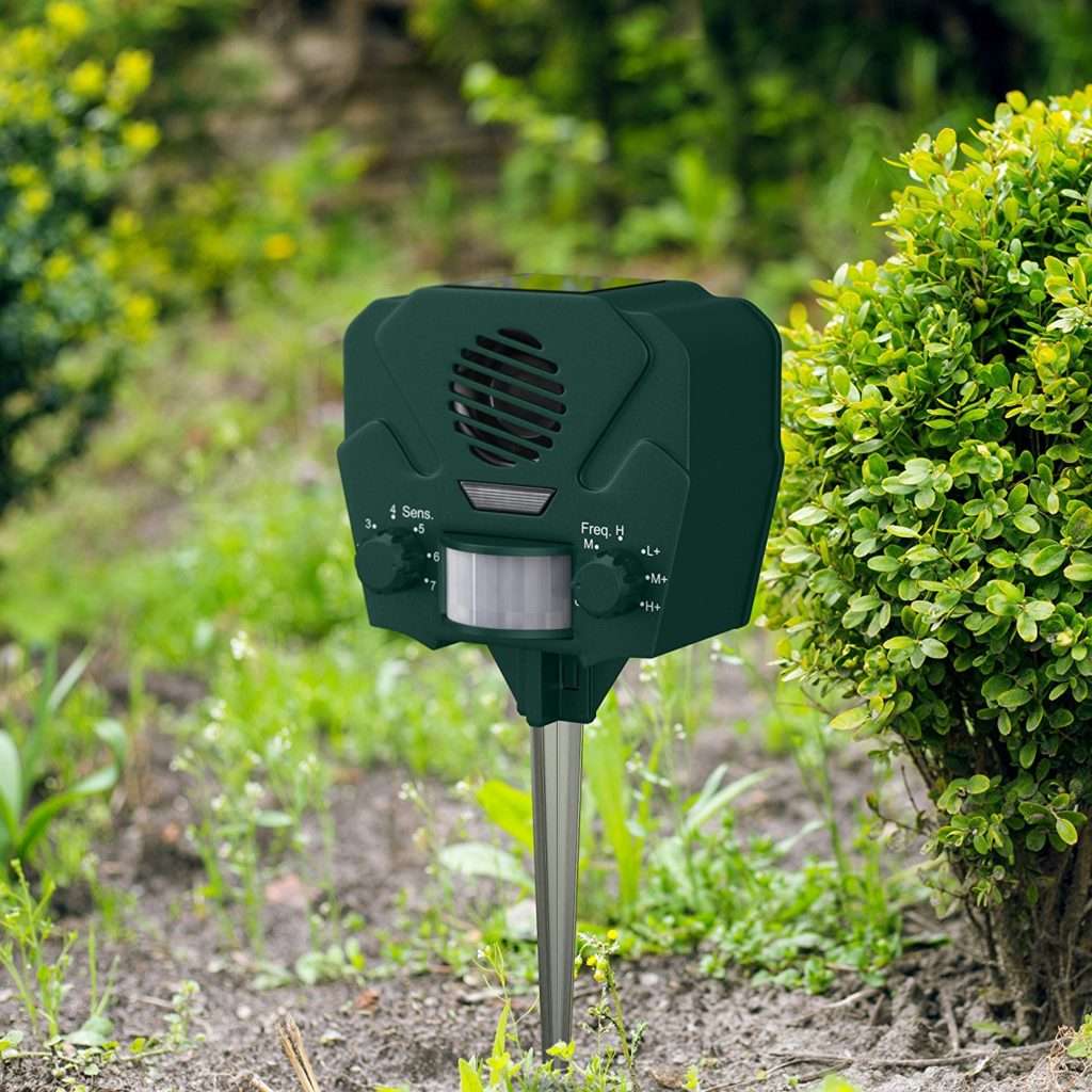 Groundhog Repellent, Home Sample