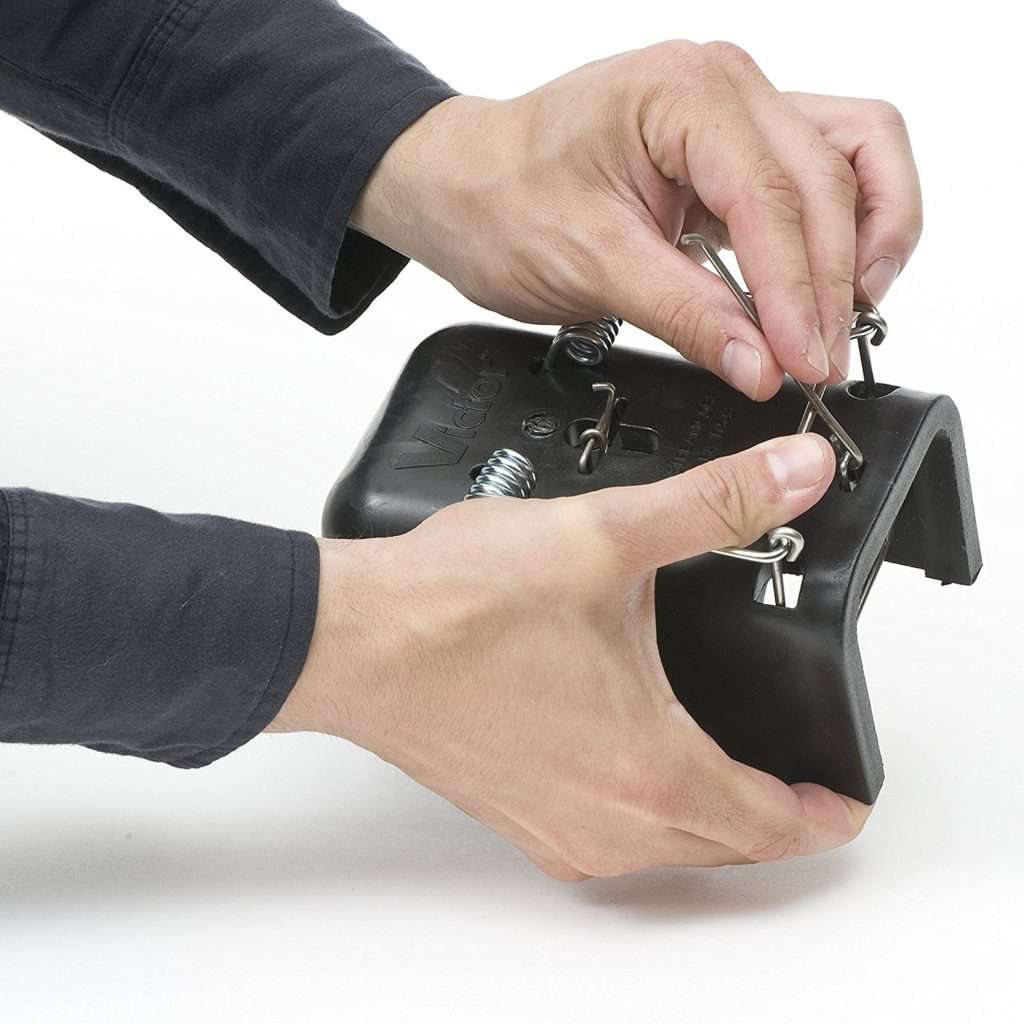 Victor The Black Box Gopher Trap Groundhog Repellent