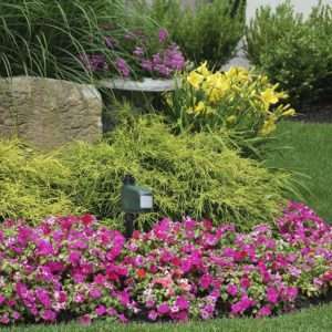 Homemade Groundhog Trap, Homemade Groundhog Trap