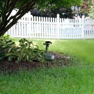 How To Get Groundhogs Out Of Their Hole, How To Get Groundhogs Out Of Their Hole