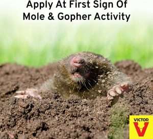 Victor M8002 Mole & Gopher Repellent Yard Spray – 1 Bottle, 6 Count (Pack of 1), Yellow 4