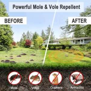 ANEWNICE Mole Groundhog Repellent,Drive Away Burrowing Animals from Lawns and Yard,Mole Repellent for Lawns Outdoor,Powered for Outdoor 2
