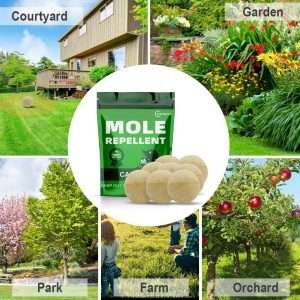 Keeping Groundhogs Away From Plants, Keeping Groundhogs Away From Plants