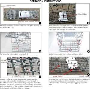 Mothballs Keep Groundhogs Away, Do Mothballs Work? Debunking The Myth Of Using Mothballs To Deter Groundhogs