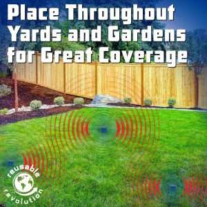 How Do I Get Rid Of Groundhogs In My Yard, How Do I Get Rid Of Groundhogs In My Yard