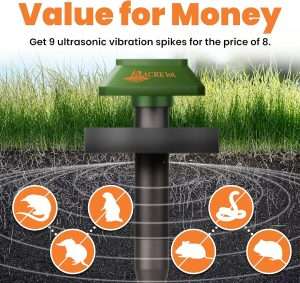 Will Mothballs Keep Groundhogs Away, Exploring Groundhog Control Methods: Can Mothballs Be An Effective Solution?