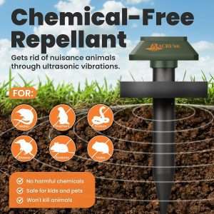 Groundhog Deterrent Tips, Groundhog Deterrent Tips