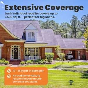 How To Get Rid Of Groundhogs Under Shed, How To Get Rid Of Groundhogs Under Shed