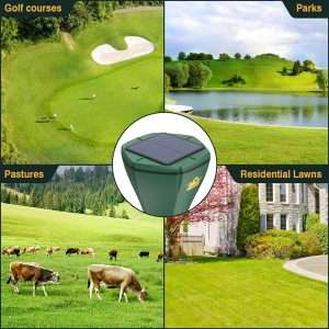 How To Keep Groundhogs Out Of My Garden, How To Keep Groundhogs Out Of My Garden