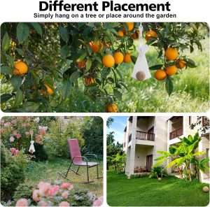 How To Keep Groundhog Out Of Vegetable Garden, How To Keep Groundhog Out Of Vegetable Garden