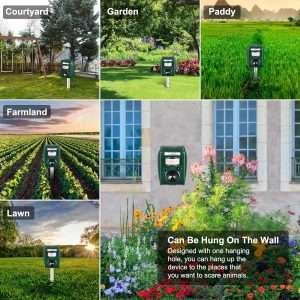 How To Stop Groundhogs From Eating Flowers, How To Stop Groundhogs From Eating Flowers