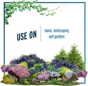 How To Stop A Groundhogs From Eating Your Garden, How To Stop A Groundhogs From Eating Your Garden