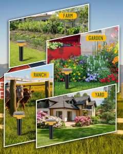How To Stop Groundhogs From Eating Plants, How To Stop Groundhogs From Eating Plants