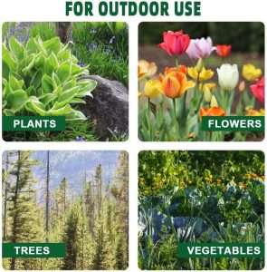 How To Keep Groundhogs Away From Garden, How To Keep Groundhogs Away From Garden