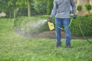 Will Mothballs Get Rid Of Groundhogs, Will Mothballs Get Rid Of Groundhogs