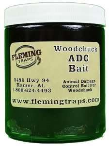 Bait For Groundhogs, 5 Effective Bait Options For Luring Groundhogs Away From Your Yard