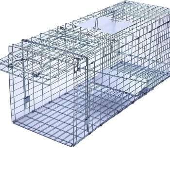 Faicuk Large Collapsible Humane Live Animal Cage Trap for Raccoon, Opossum, Stray Cat, Rabbit, Groundhog and Armadillo - 32 x 11 x 13 - 1