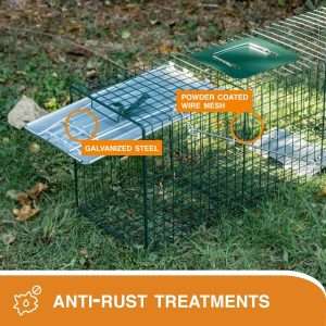HOMESTEAD 32 Inch Live Animal Trap - Specialized for Raccoons, Opossums, Groundhogs, Skunks, Feral Cats, Squirrels - Humane Way Catch & Release Animal Trap - 2