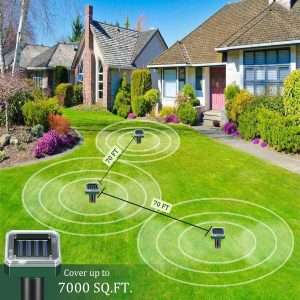 How To Keep Groundhogs Out Of Your Garden, How To Keep Groundhogs Out Of Your Garden