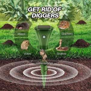 How To Get Rid Of Groundhogs Under House, How To Get Rid Of Groundhogs Under House