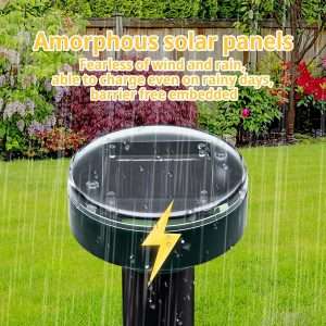 How To Keep Groundhogs Away, How To Keep Groundhogs Away