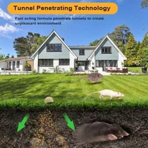 How To Make A Groundhog Trap, How To Make A Groundhog Trap