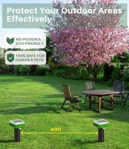 How To Keep Groundhogs Out Of Garden, How To Keep Groundhogs Out Of Garden