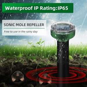 How To Repel Groundhogs, How To Repel Groundhogs