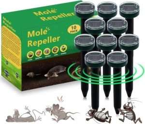 Moth Balls For Groundhogs