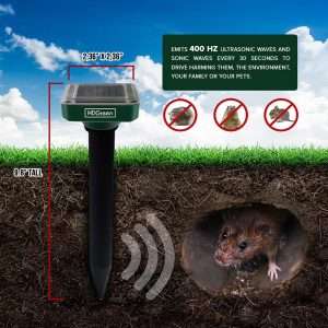 How To Stop Groundhogs From Digging Holes, How To Stop Groundhogs From Digging Holes