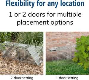 Live Trap Groundhog, Live Trap Groundhog