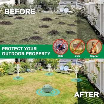 36 Pack Mole Repellent - Groundhog Repellent, Gopher Repellent, Vole Repellent, Rodent Repellent for Outdoor Garden Lawn Yard, Get Rid of Mole, Mole Deterrent, Safe for Plant & Pets - 2