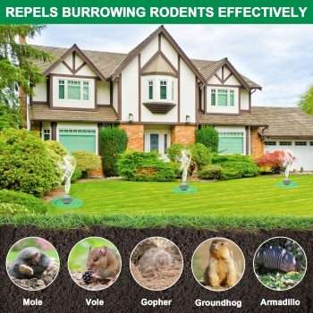 36 Pack Mole Repellent - Groundhog Repellent, Gopher Repellent, Vole Repellent, Rodent Repellent for Outdoor Garden Lawn Yard, Get Rid of Mole, Mole Deterrent, Safe for Plant & Pets - 3