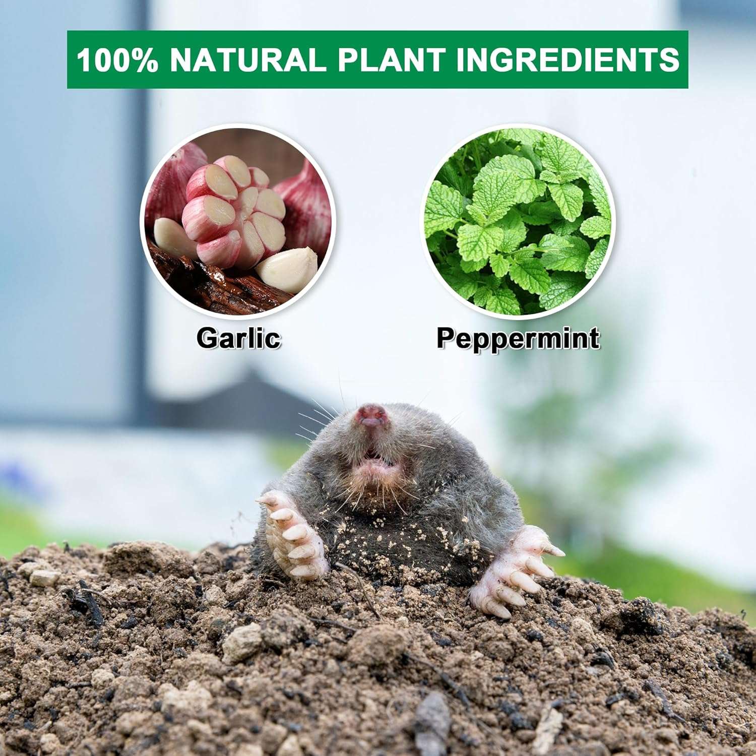 36 Pack Mole Repellent - Groundhog Repellent, Gopher Repellent, Vole Repellent, Rodent Repellent for Outdoor Garden Lawn Yard, Get Rid of Mole, Mole Deterrent, Safe for Plant & Pets - 4