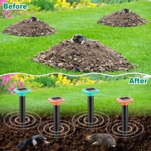 How To Get Rid Of Groundhogs In Yard, How To Get Rid Of Groundhogs In Yard