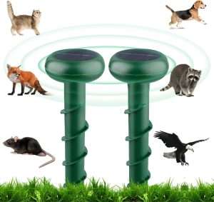 How To Get Rid Of Groundhogs In Your Yard, How To Get Rid Of Groundhogs In Your Yard