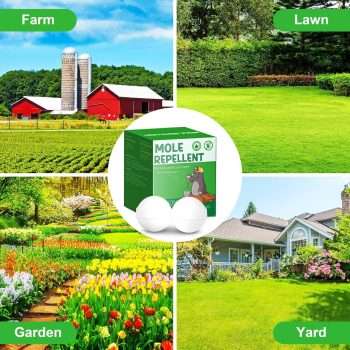 24pack Mole Repellent, Mouse Repellent, Groundhog Repellent, Gopher Repellent, Vole Repellent for Lawn Garden Yard Outdoor, Armadillo Repellent, Mole Deterrent - 4