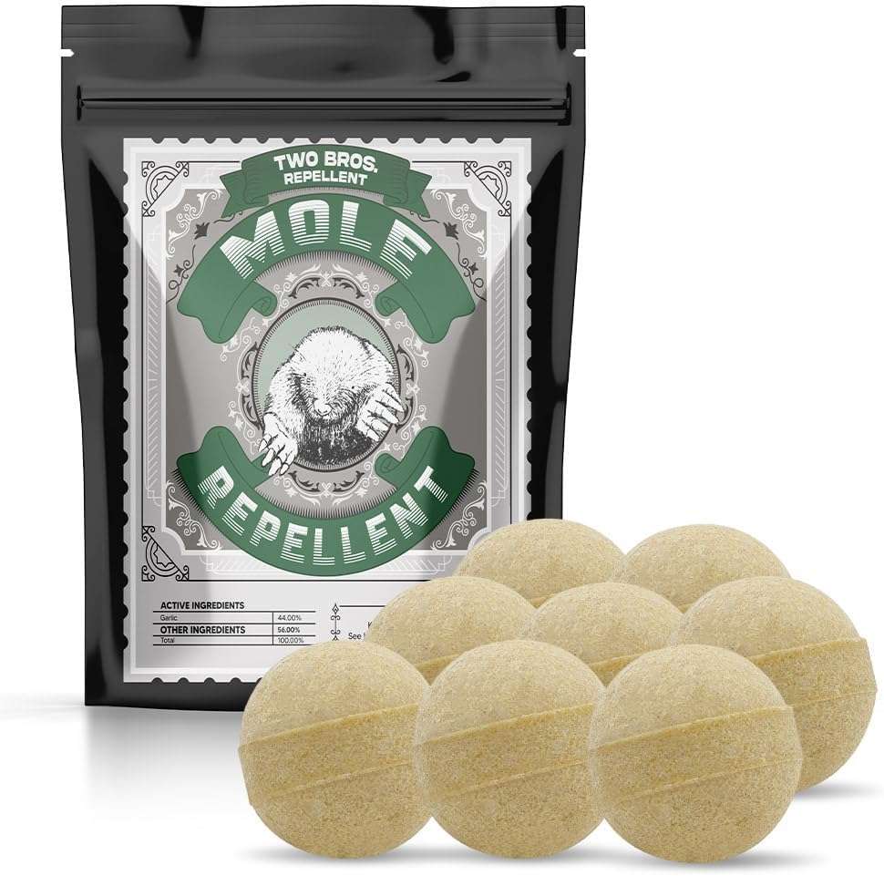 Groundhog Deterrent Solutions, Keep Groundhogs Out: Effective Groundhog Deterrent Solutions