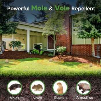 Mole Repellent for Lawns, Gopher Repellents Outdoor, Vole Repellent, Outdoor Lawn & Garden Mole Control, Mole Deterrent for Garden-Lawn, Get Rid of Moles Yard Safe to Use-10P - 2