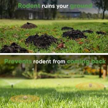 Mole Repellent for Lawns, Gopher Repellents Outdoor, Vole Repellent, Outdoor Lawn & Garden Mole Control, Mole Deterrent for Garden-Lawn, Get Rid of Moles Yard Safe to Use-10P - 3