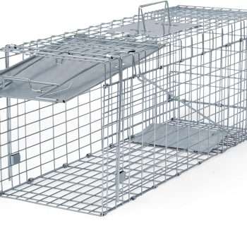 Humane Way Folding 32 Inch Live Humane Animal Trap - Safe Traps for All Animals - Raccoons, Cats, Groundhogs, Opossums - 32 L x 10.2 W x 12.2 H - 1