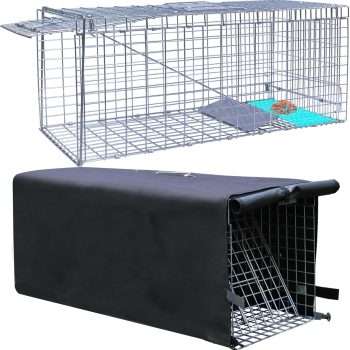 Live Animal Trap Cage with Cover, Cat Trap for Stray Cats 32 Inch Heavy Duty Folding Skunk Trap with Real Door for Raccoons, Opossums, Groundhogs, Skunks, Feral Cats, Squirrels-2 Packs - 1