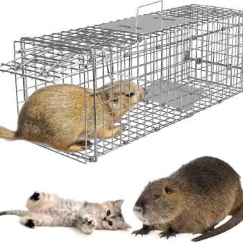 iMounTEK Humane Live Animal Trap Animal Trap 32X12.5X12In Large Humane Cat Trap Catch Release Animal Rodent Cage Collapsible Galvanized Wire for Small Raccoons Beavers Groundhogs - 1