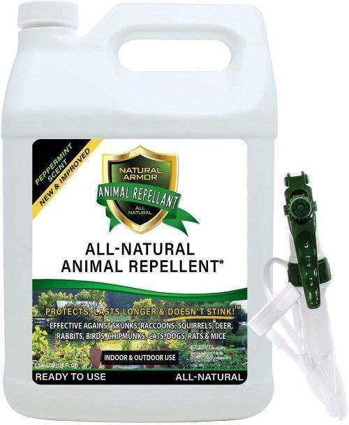 Groundhog Repellent, Home Sample
