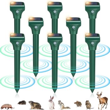 What Deters Groundhogs, What Deters Groundhogs