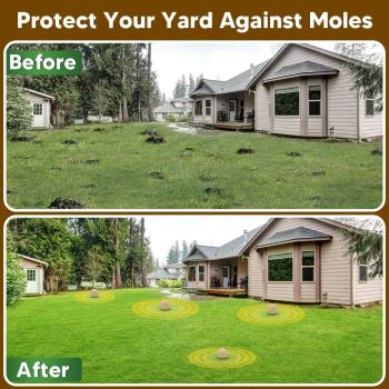 Mole Repellent, Gophers Repellent, Vole Repellant Outdoor, Armadillo Repellant Garden, Moles Control, Groundhog Repellents, Gopher Deterrent for Lawn, Keep Vole Out of Your Yard, Safe to Use-8P - 3