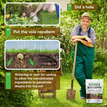 Mole Repellent, Gophers Repellent, Vole Repellant Outdoor, Armadillo Repellant Garden, Moles Control, Groundhog Repellents, Gopher Deterrent for Lawn, Keep Vole Out of Your Yard, Safe to Use-8P - 4