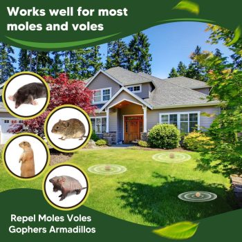 Mole Repellent Outdoor, Gopher Repellents, Vole Repellent for Lawn, Natural Groundhog Repellent, Safe for People & Pets, Mole Repellent for Lawn and Garden, 3 Months Protection - 3