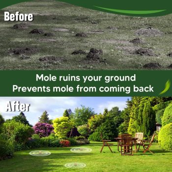 Mole Repellent Outdoor, Gopher Repellents, Vole Repellent for Lawn, Natural Groundhog Repellent, Safe for People & Pets, Mole Repellent for Lawn and Garden, 3 Months Protection - 6
